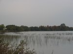 IMG_5657.JPG
