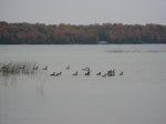 IMG_5658.JPG