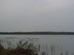 IMG_5661.JPG