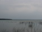 IMG_5663.JPG