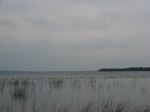 IMG_5664.JPG
