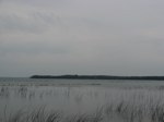 IMG_5665.JPG