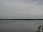 IMG_5670.JPG
