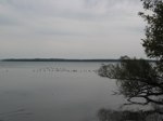 IMG_5673.JPG