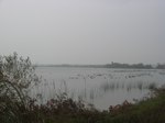 IMG_5675.JPG