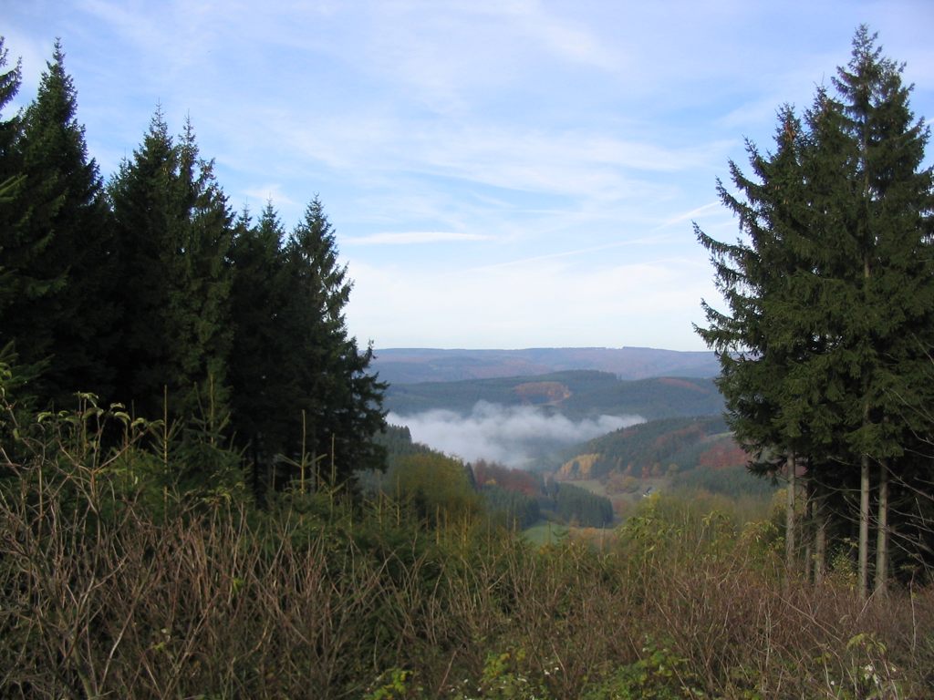 IMG_5141.JPG