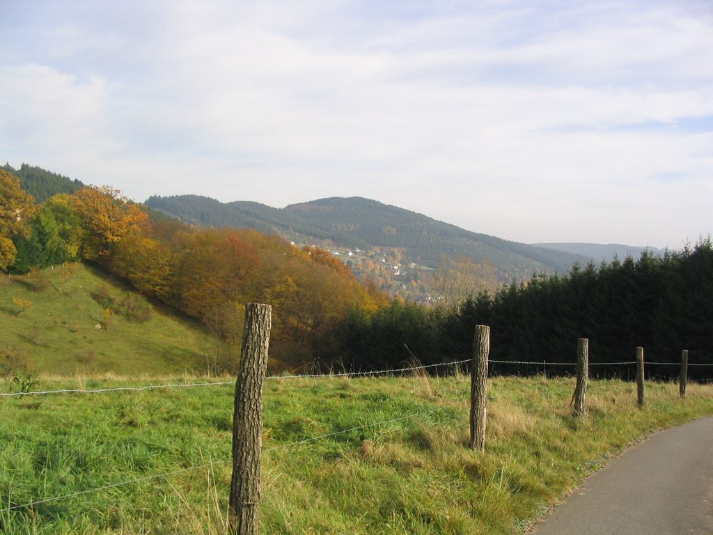 IMG_5175.JPG