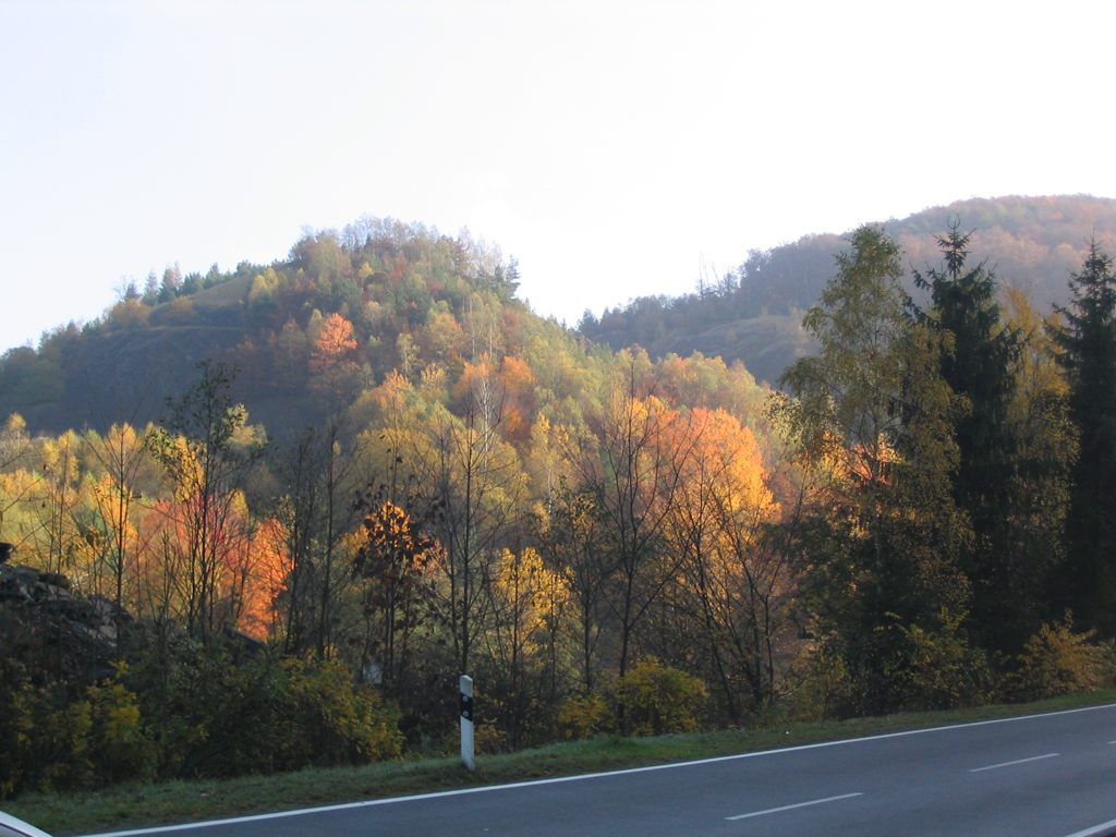 IMG_5216.JPG