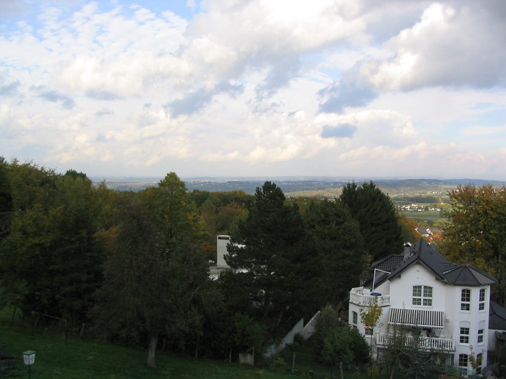 IMG_5035.JPG