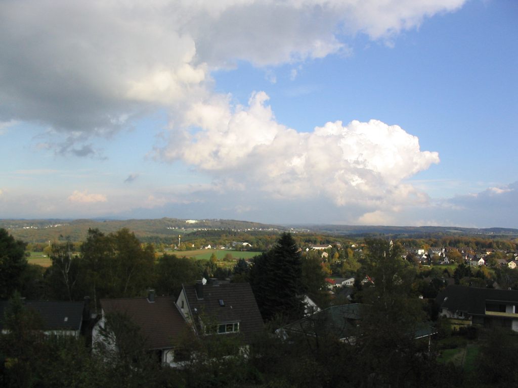 IMG_5037.JPG