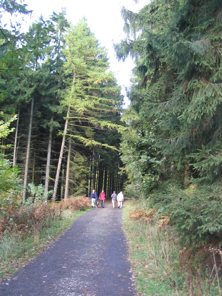 IMG_5044.JPG