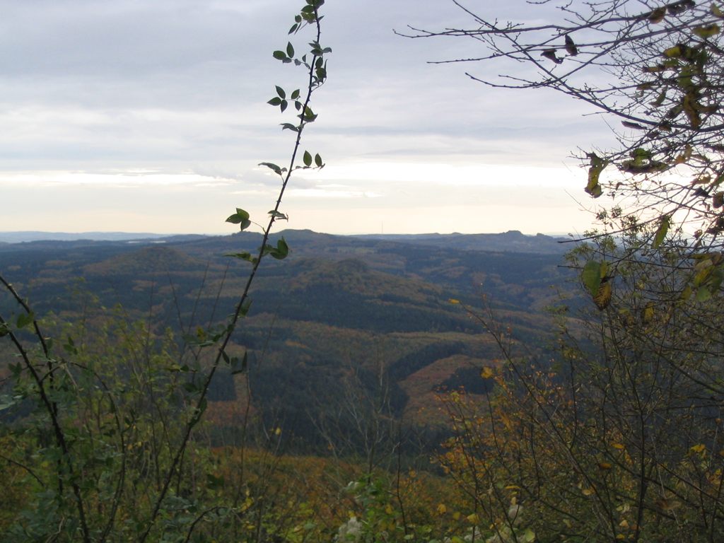 IMG_5074.JPG