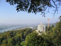 IMG_4911.JPG