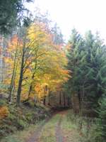 IMG_5121.JPG