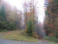 IMG_5125.JPG