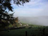 IMG_5126.JPG