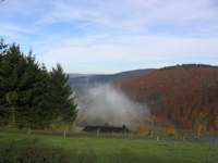 IMG_5136.JPG
