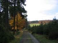 IMG_5144.JPG
