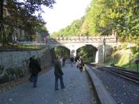 IMG_4913.JPG