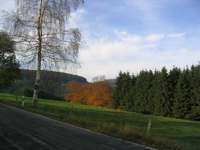 IMG_5156.JPG