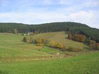 IMG_5174.JPG