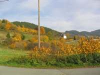 IMG_5179.JPG
