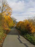 IMG_5180.JPG
