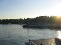 IMG_4925.JPG