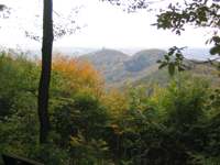 IMG_5056.JPG