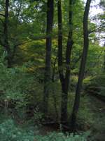 IMG_5060.JPG