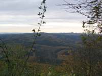 IMG_5074.JPG