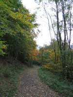 IMG_5080.JPG
