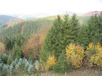IMG_5092.JPG