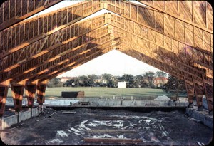 RoofBeamsThroughSkating.jpg
