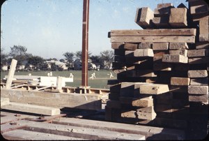 WoodAndCricket.jpg